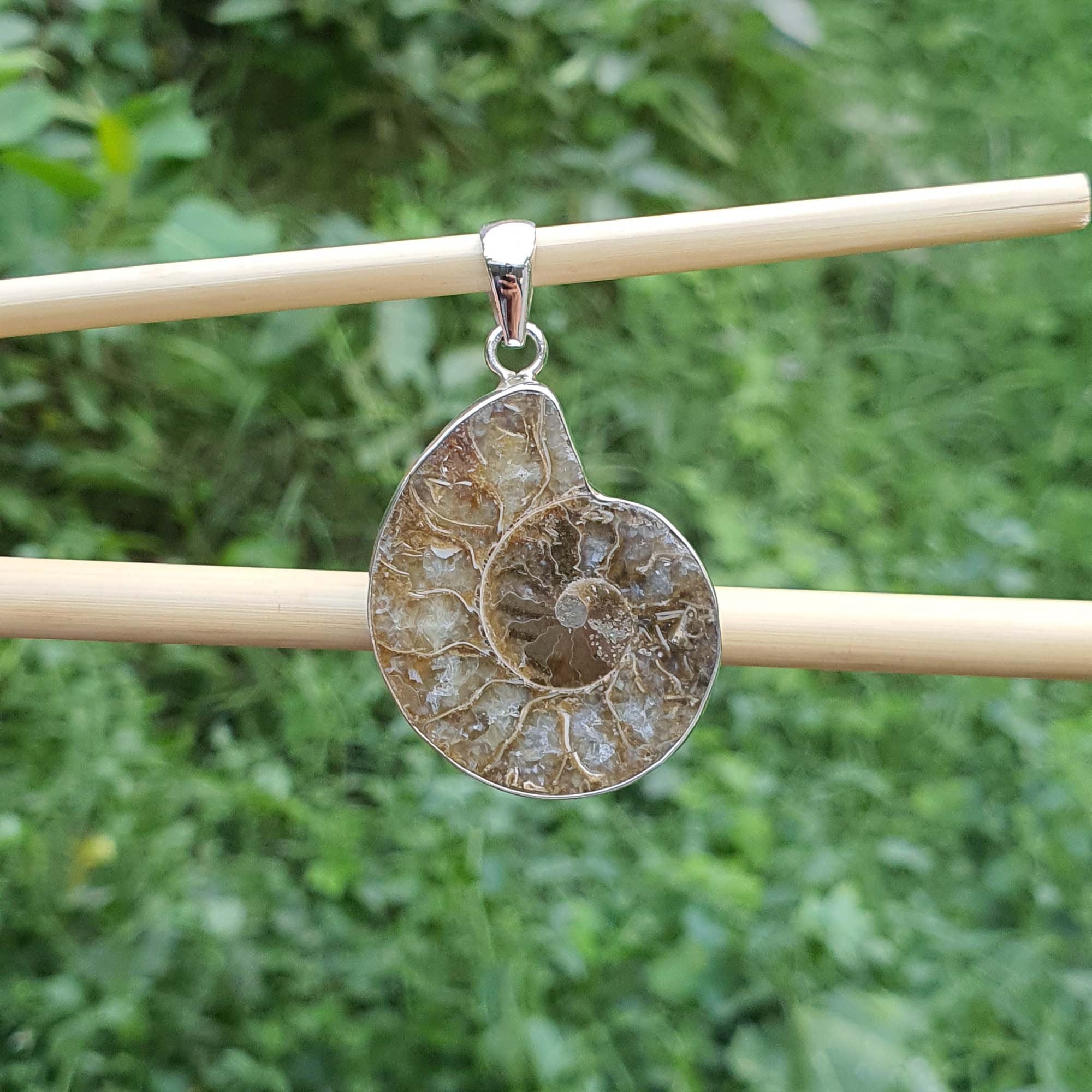 Ammonite fossil pendant on a stick with a green leafy background