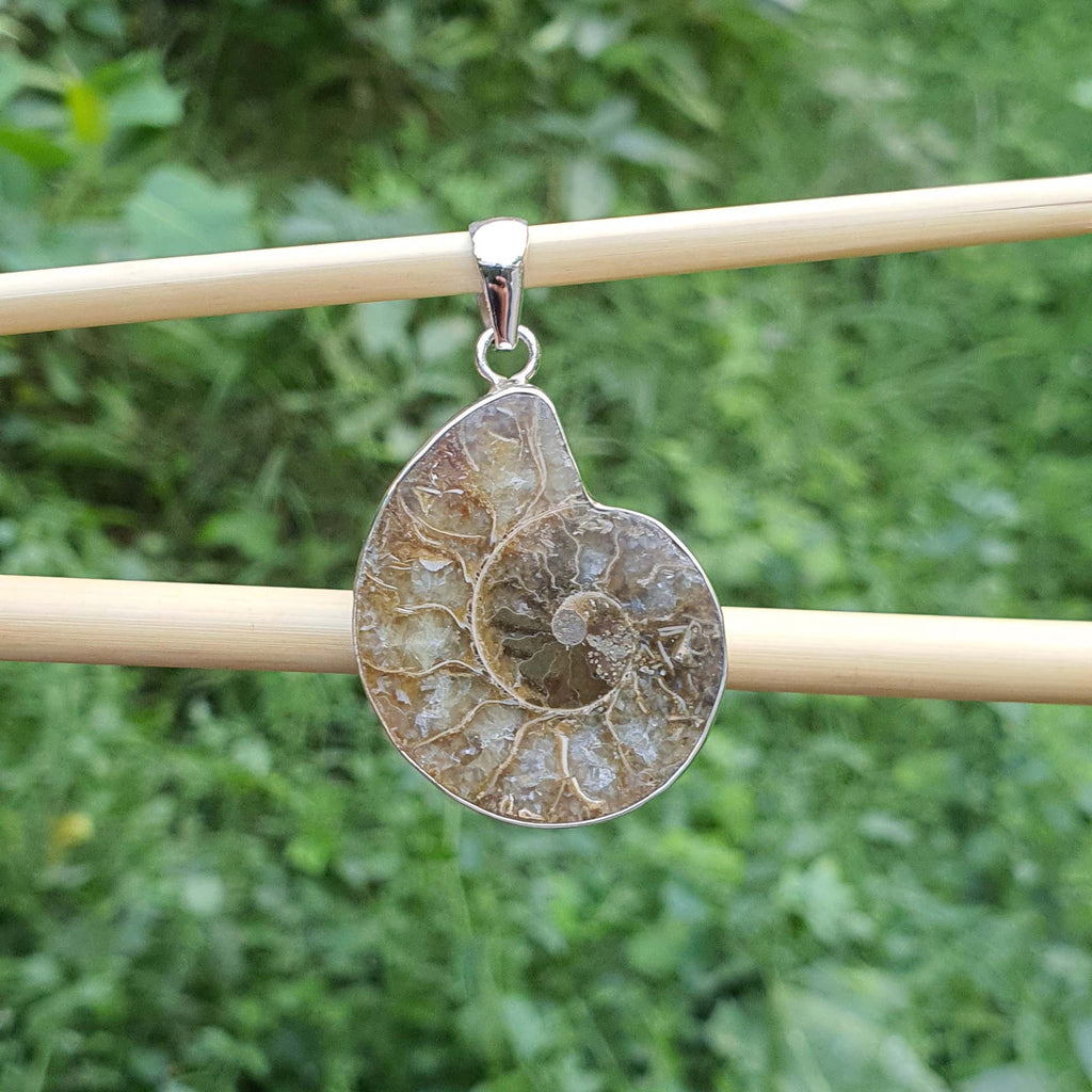 Ammonite fossil pendant on a stick with a green leafy background