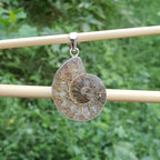 Ammonite fossil pendant on a stick with a green leafy background