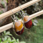 Pair of earrings with multicolored stones hanging on a wooden stick with a natural background.