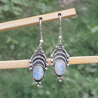 Silver earrings with gemstones on a wooden stick against a blurred green background