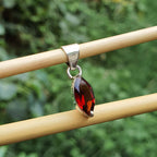 Silver pendant with a red gemstone on a wooden stick against a green leafy background