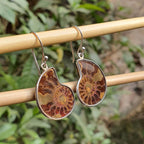 Pair of earrings with brown and silver design on a wooden stick with green foliage background