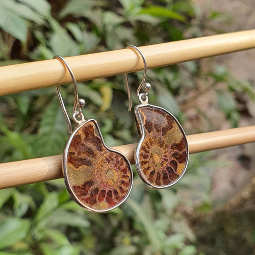 Pair of earrings with brown and silver design on a wooden stick with green foliage background