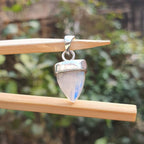 Silver pendant with a clear gemstone on a wooden stick against a blurred green background