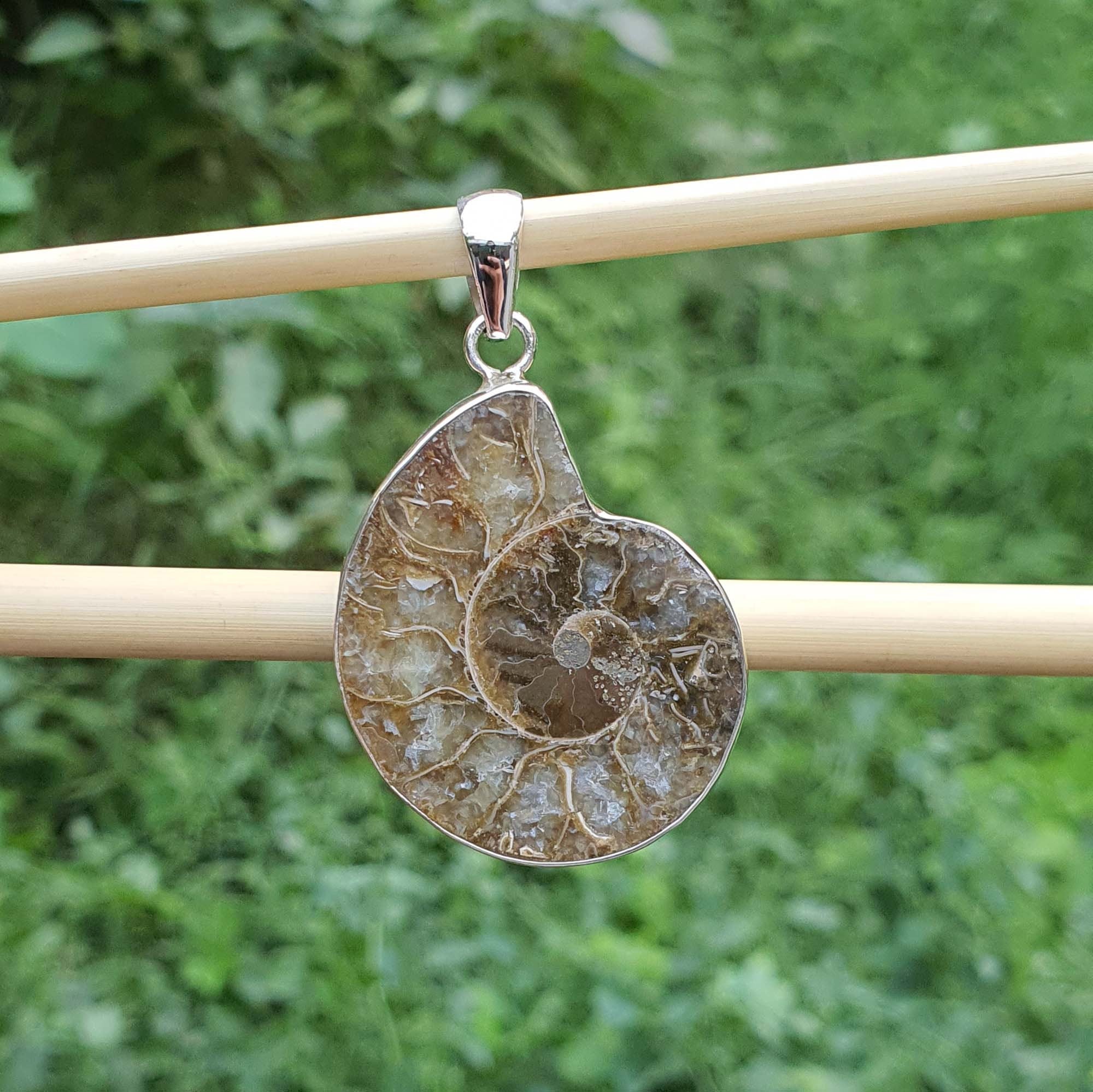 Fossil pendant on a stick with a green foliage background