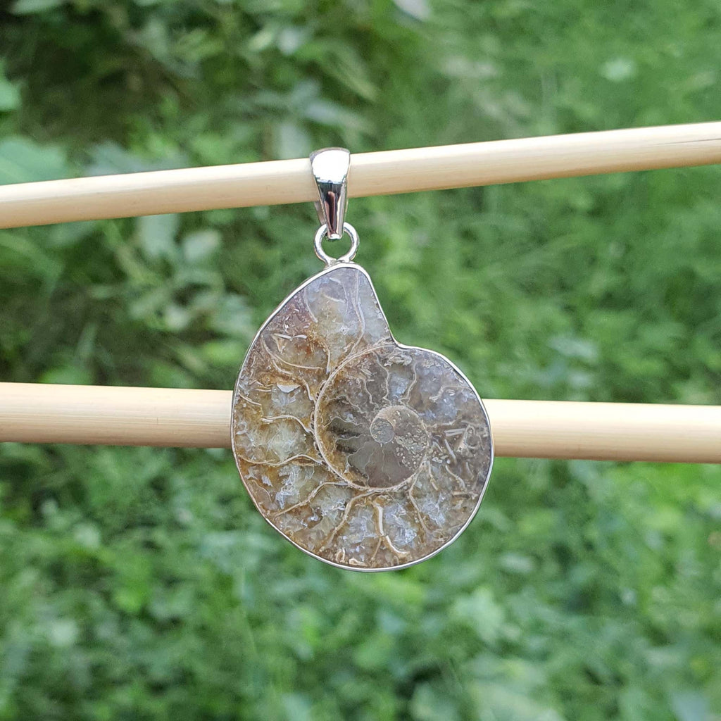 Fossil pendant on a stick with a green foliage background