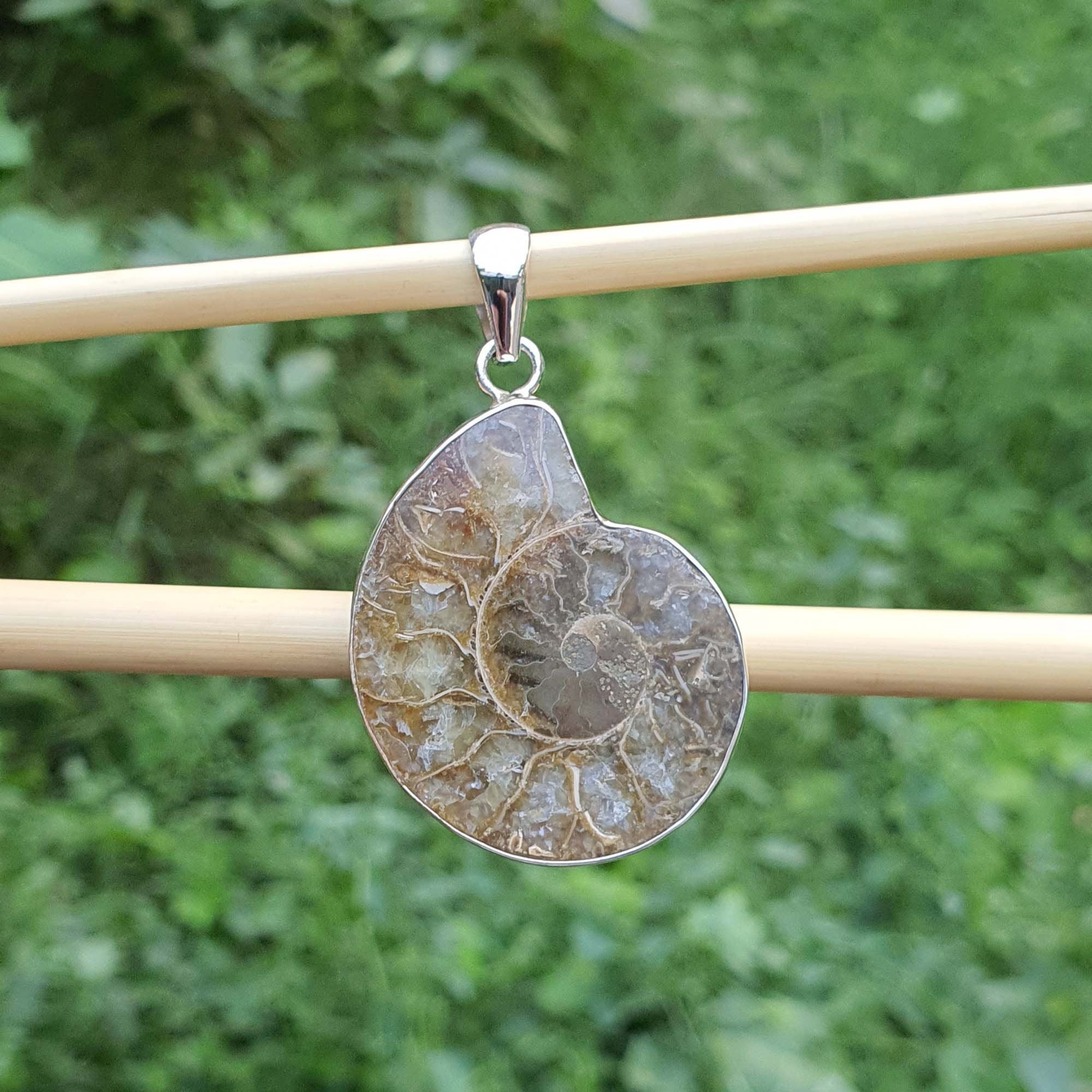 Fossil pendant on a stick with a green foliage background